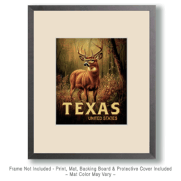 Texas Buck Deer Art