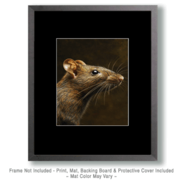 Rat Portrait Art
