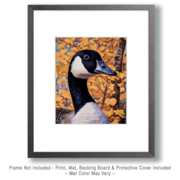 Canada Goose in Fall Art