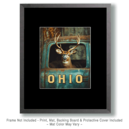 Ohio Buck in Pickup Art