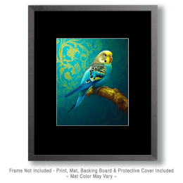 Stylized Budgie Parakeet #1 Art