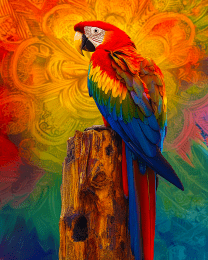 Stylized Parrot #1