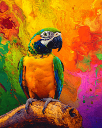 Stylized Parrot #2