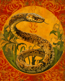 Stylized Snake #5