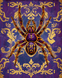 Stylized Tarantula #1
