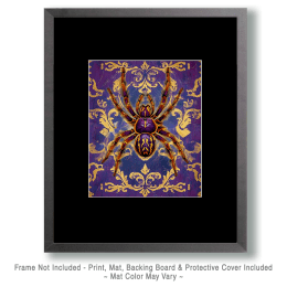 Stylized Tarantula Art