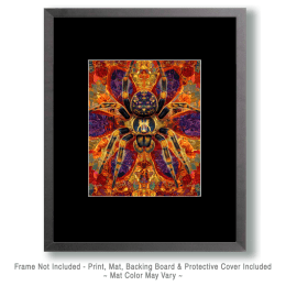 Stylized Tarantula #2 Art