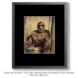 Bigfoot in Sunglasses Art