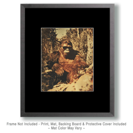 Bigfoot Sporting Sunglasses Art