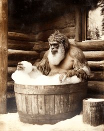 Bigfoot Takes a Bubble Bath