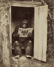 Bigfoot Takes a Dump