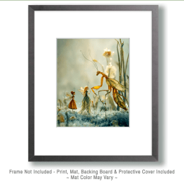 Fairy Showing that Mantis Can Be Friends Art