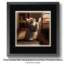 Kitten- Nighttime Prayers art print
