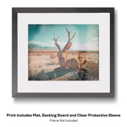 Jackalope Polaroid art print