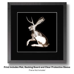 Jackalope X-Ray ART PRINT