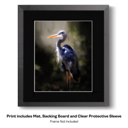 Great Blue Hern Impressionism 1 art print