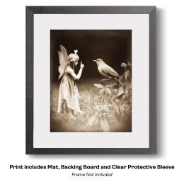 Fairy Evidence Cambridge Institute art print