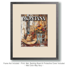 American Great Plains Still-Life Art