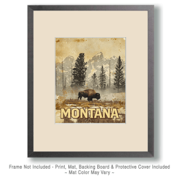 American Great Plains Bison Art