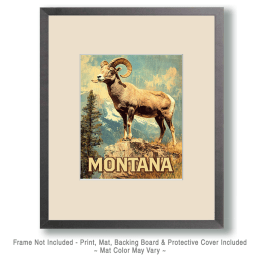 Rocky Mountain Bighorn Sheep Art