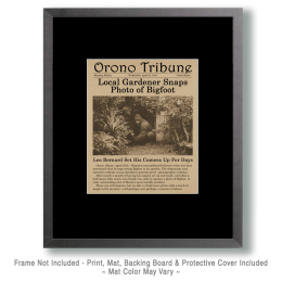 Antique Newspaper Article About Bigfoot Art