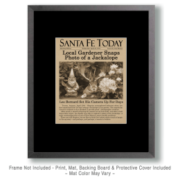 Antique Newspaper Article About Jackalope Art