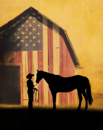 American Life- A Girl and Her Horse art print