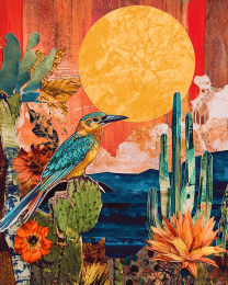 Desert Morning Song