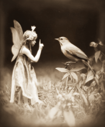 Fairy Evidence Cambridge Institute art print