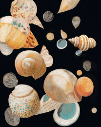 Cascade of Seashells art print