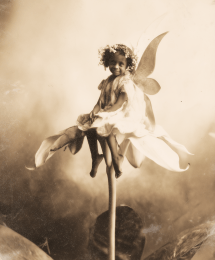 Vintage Formal Fairy Portrait 2 art print