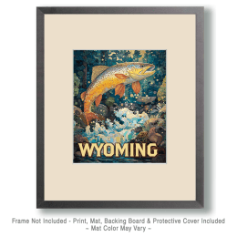 Rocky Mountain Jumping Trout Art