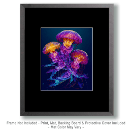 Jellyfish Luminescence Art