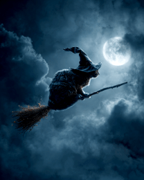 Witch Cat on Broom