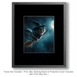 Cat Witch on Broom Art