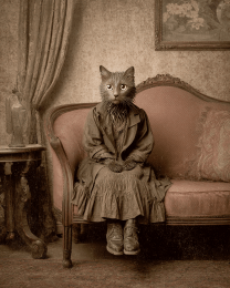Vintage Cat Woman Waiting Patiently