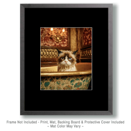 Unhappy Wet Cat Art