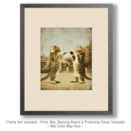 Kitten Boxing Match Art
