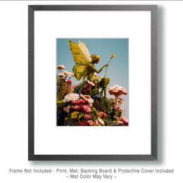 Many Summers Fairy Art