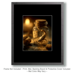 Bottled Scorpion Art