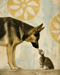 German Shepard & Kitten