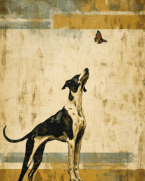 Dog & Butterfly