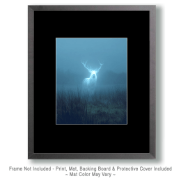 Ghost Elk Art