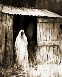 Ghost in the Shed