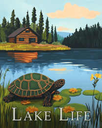Turtle and Cabin