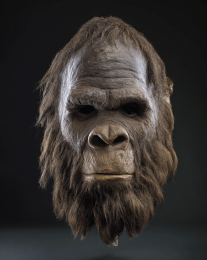 Bigfoot Mask 9 art print