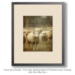 Antique Style Sheep Photo Art