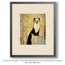 Curious Ferret Art