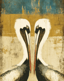 Pelican Face-Off