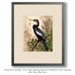 Vintage Naturalist Style Anhinga Bird Art
